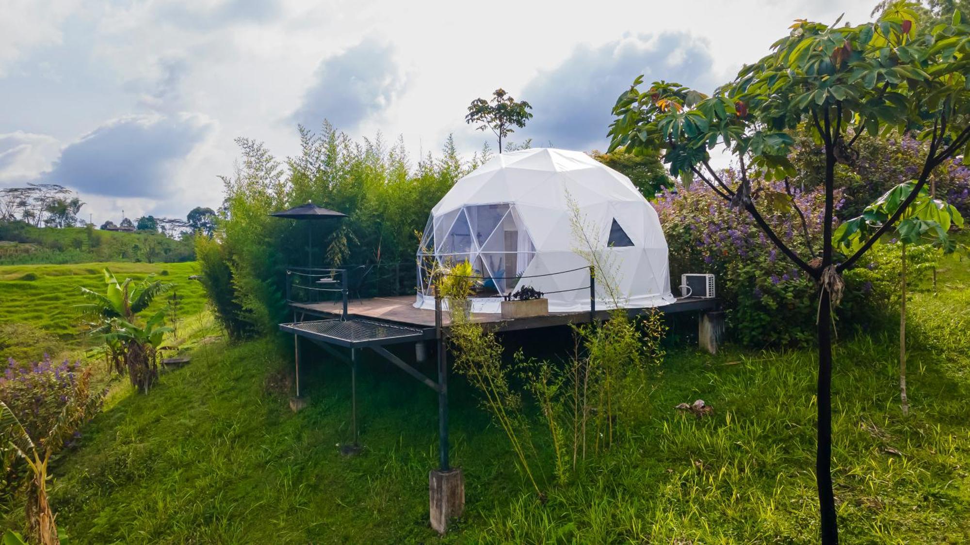 Ecohotel Monte Tierra Habitaciones Y Glamping Filandia Extérieur photo